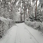 W Lesie Nad Rzeka Swider * Mladz