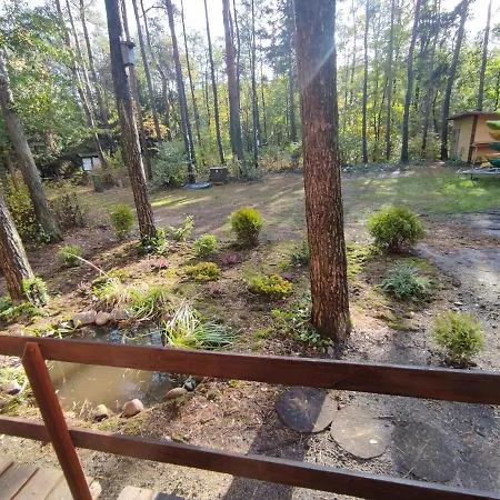 Domek alpejski W Lesie Nad Rzeka Swider *