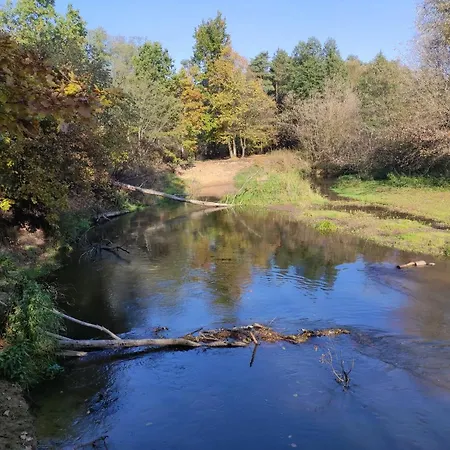Domek alpejski W Lesie Nad Rzeka Swider