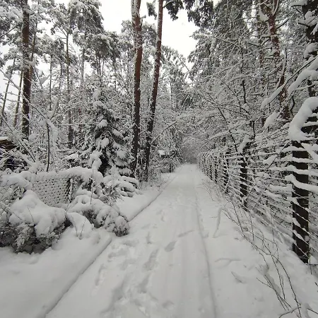 W Lesie Nad Rzeka Swider *