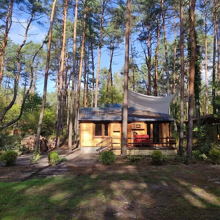 W Lesie Nad Rzeka Swider Mladz